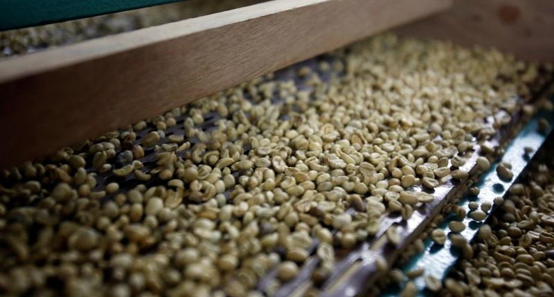 Vietnam’s Jan-Sept coffee exports drop 1.4%, rice down 0.6%