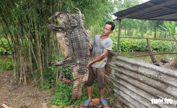 Vietnamese man skins, butchers 70kg crocodile after capturing it at his farmland