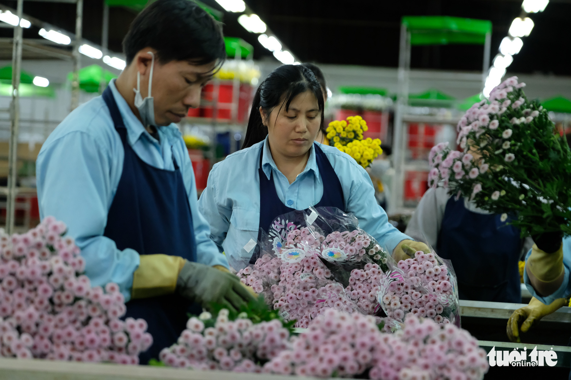 Vietnam’s Central Highlands province builds first flower trading center