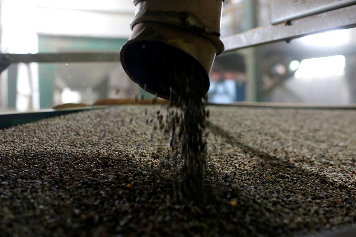 Vietnam Jan-Nov coffee exports likely down 4.4% y/y, rice up 0.8%